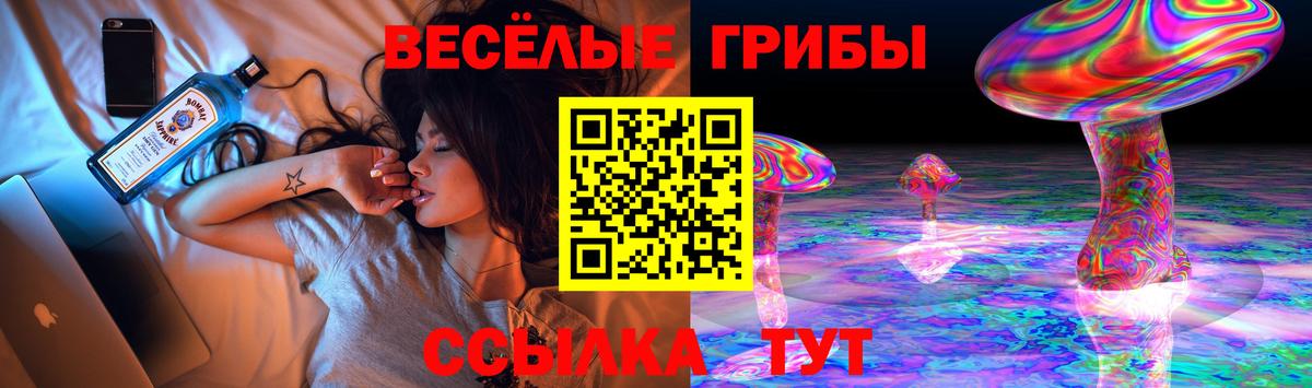 Галлюциногенные грибы ЛСД  Вход с VPN  Галлюциногенные грибы GOLDEN TEACHER  Саратов 